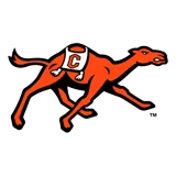 Campbell Fighting Camels logo